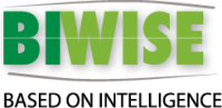 Biwise logo